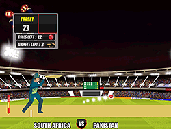 Cricket World Cup - Sports - GAMEPOST.COM