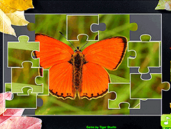 Jigsaw Puzzle Collection Animals - Arcade & Classic - GAMEPOST.COM