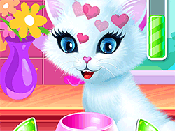 Princess Kitty Care - Fun/Crazy - GAMEPOST.COM