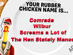 What's Your Chicken Name? - Fun/Crazy - GAMEPOST.COM