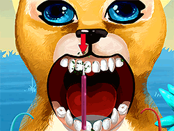 Become An Animal Dentist - Girls - GAMEPOST.COM