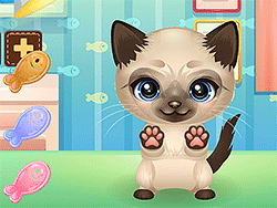 Adopt your pet kitty - Girls - GAMEPOST.COM