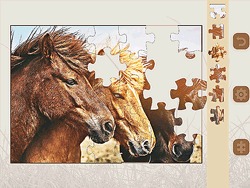 Jigsaw Puzzle: Horses Edition - Arcade & Classic - GAMEPOST.COM