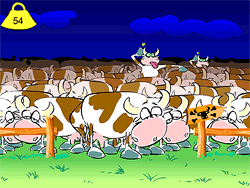 Mad Cows!