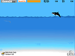 Dolphin Tag