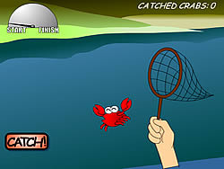 Catch A Crab 1