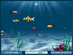 Franky the Fish - Skill - Gamepost.com
