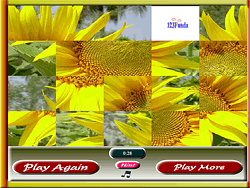 Sunflower Photo Puzzle