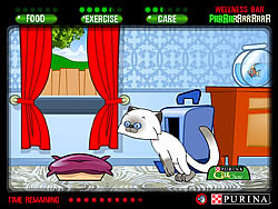 Virtual Pet Game