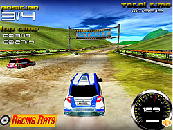 Rally Expedition 3D Game