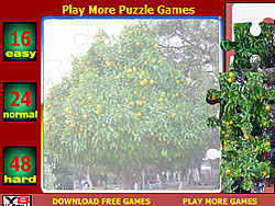 Orange Tree Jigsaw Puzzle