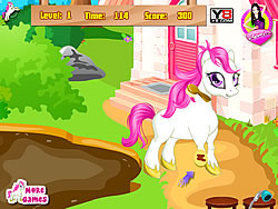 Cute Pony Care Flash