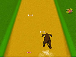 Dog Dash - Arcade & Classic - Gamepost.com