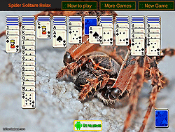 Spider Solitaire Relax